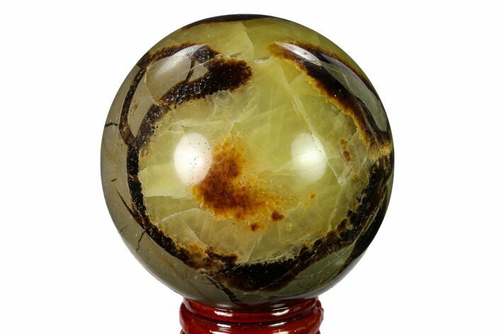 Polished Septarian Sphere - Madagascar #154120